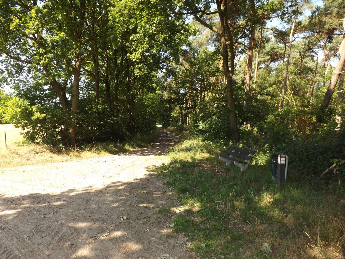 Vosseven 15 Haasje Villa Stramproy Exteriör bild
