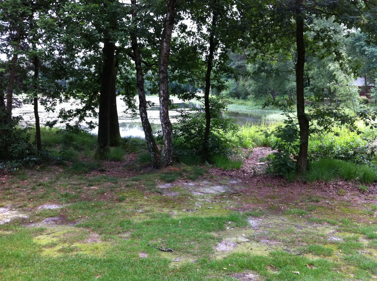 Vosseven 15 Haasje Villa Stramproy Exteriör bild