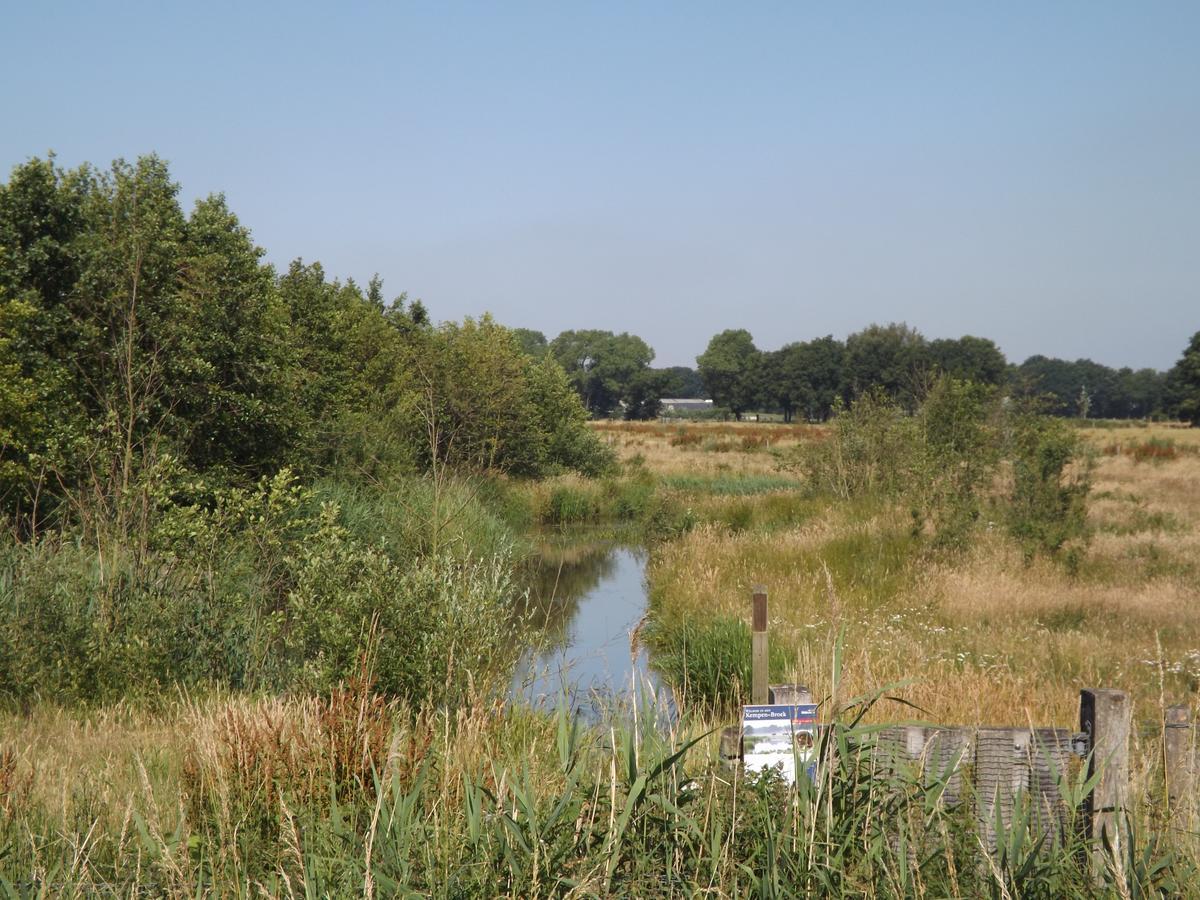Vosseven 15 Haasje Villa Stramproy Exteriör bild